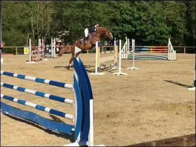 Comment s'appellent les objets qui tiennent les barres ?