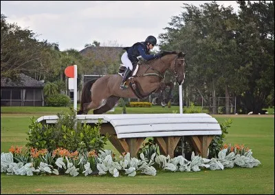 En cross, on saute des obstacles...