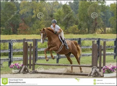 Comment s'appelle cet obstacle ?