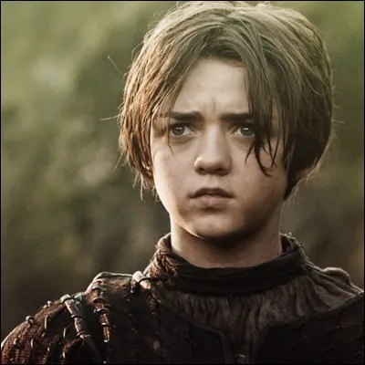 Par qui était accompagnée Arya Stark lorsqu'elle est arrivée sur les lieux du mariage ?