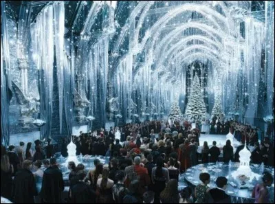 Tes parents veulent que tu rentres pour Noël alors que tu aurais préféré rester à Poudlard :