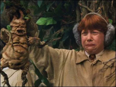 Par mégarde, le professeur Chourave met en colère une plante carnivore, comment réagis-tu ?