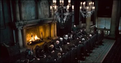 Tu es séquestré(e) dans le manoir des Malefoy et on t'a annoncé que tu allais rencontrer Lord Voldemort...