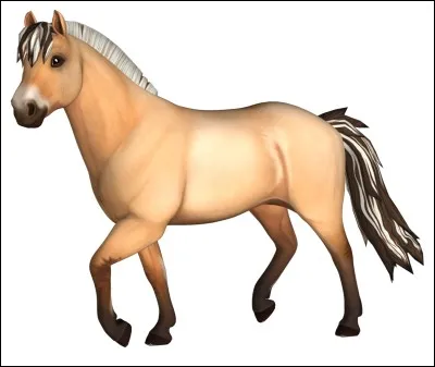 Quelle est cette race ?