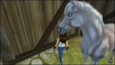 Quelle est cette race ?