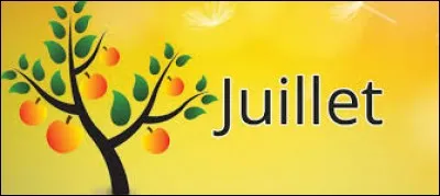 Comment dit-on "juillet" en espagnol ?