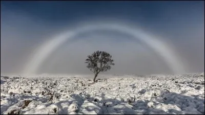 Phénomène lumineux météorologique dû à la réfraction et à la réflexion et, dans une moindre mesure, à la diffraction de la lumière solaire ou lunaire, par de très petites gouttelettes d'eau contenues dans la brume ou le brouillard.