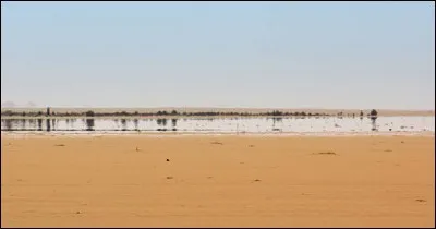 Phénomène optique de réflexion de la lumière venant d'une région où l'air est frais et pénétrant dans une une région où l'air est plus chaud (ex : au voisinage du revêtement de la route).