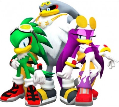 Dans le jeu vidéo "Sonic Riders Zero Gravity", comment se nomme l'équipe de Jet, Wave et Storm ?