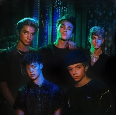 Quelle coupe de cheveux aimes-tu ?