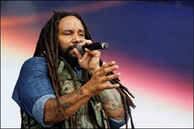 Comment s'appelle la coiffure particulière des chanteurs de reggae ?