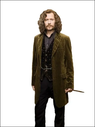 Qui est le parrain d'Harry Potter ?