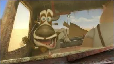 Comment s'appelle le chien qui conduit à la place de son maître ?