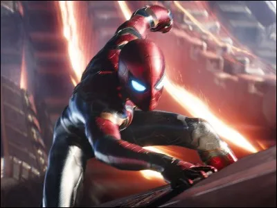 Qui est le premier à avoir entendu parler du projet ?