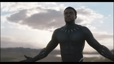 Qui a déjà pris du vibranium au Wakanda ?