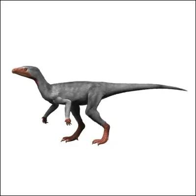 Eoraptor était un des premiers dinosaures.