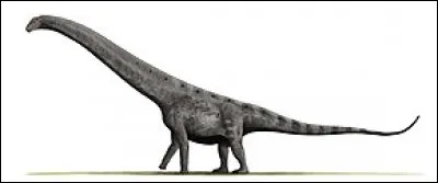 L'Argentinausaurus était le plus grand des dinosaures