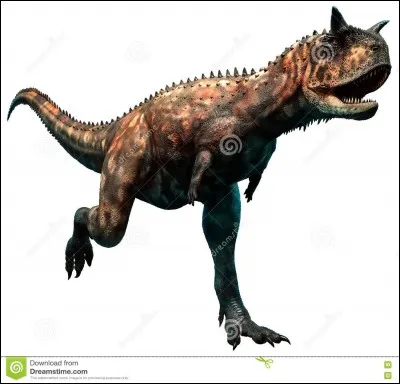 La plupart des dinosaures étaient carnivores.
