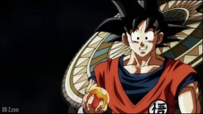 Lequel de ces personnages n'a pas participé au Tournoi du Pouvoir ?