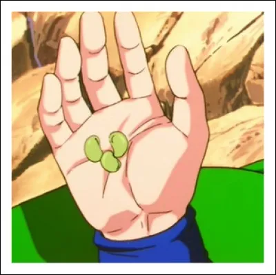 Que font les haricots magiques ?