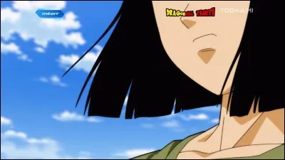 Quel était le vu que C 17 a demandé quand il a gagné au Tournoi du Pouvoir ?