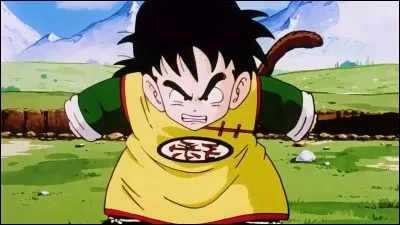 Qui est le premier à avoir entraîné Sangohan ?