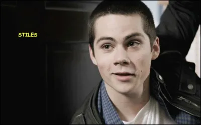 Quel est l'objet de stiles ?