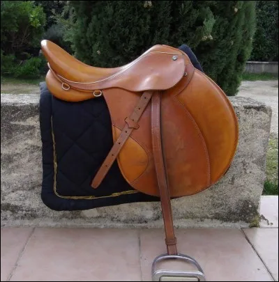 Quelle partie n'est pas sur la selle ?