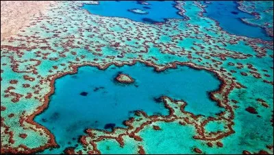 Au large de quelle île est située "La Grande Barrière de Corail" ?