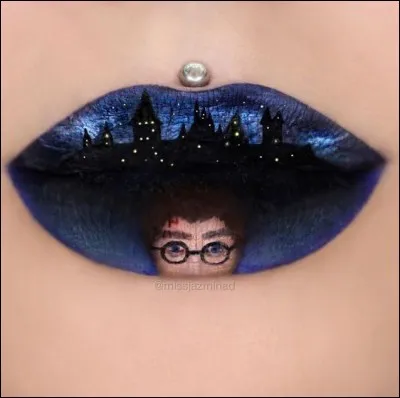 Quelle est la série représentée ?