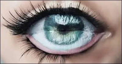 Quelle est la partie du corps représentée ci-dessus ?