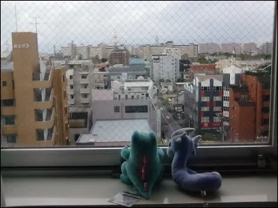 Quels sont les deux Pokémon sur cette photo ?