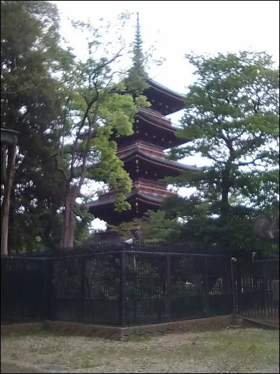 Quel est le nom du parc d'où vient cette photo ?