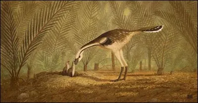 Lequel de ces dinosaures avait des plumes ?