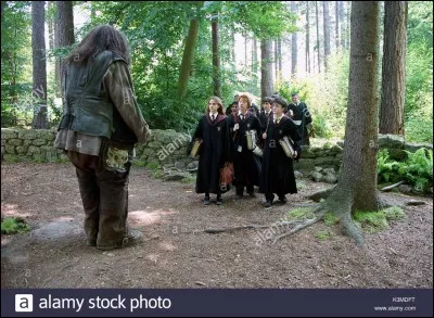 Quel personnage préfères-tu ?