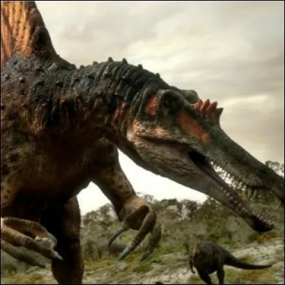 Quel &eacute;tait le plus grand spinosaurid&eacute; ?