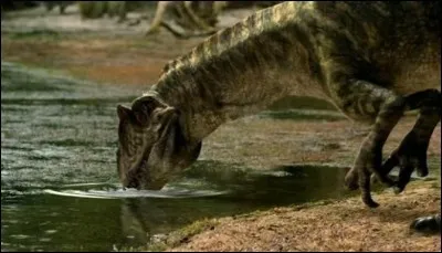 Quel &eacute;tait le plus grand allosaurid&eacute; ?