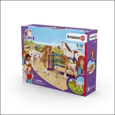 De quelle année est ce pack ?