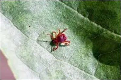 Part lors de retours, c'est l'...