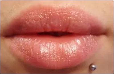 Agent de sécurité, c'est le...