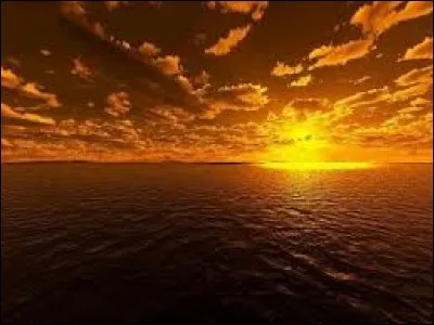 Arbre couché, c'est l'...