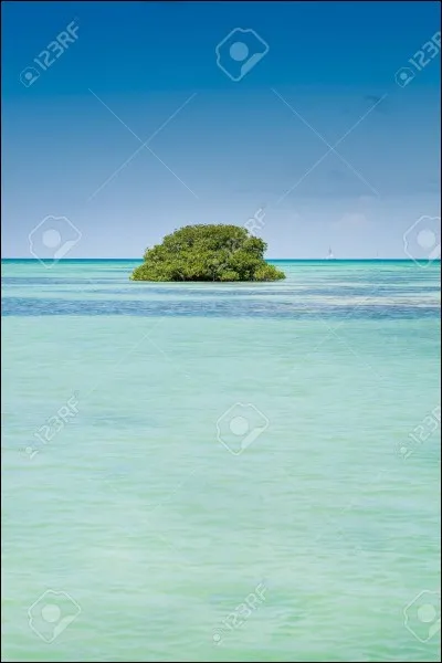 Lequel de ces océans borde le Timor oriental ?