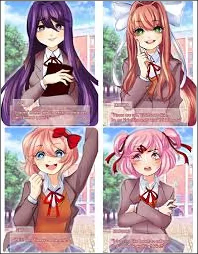 Tu te qualifierais comme...