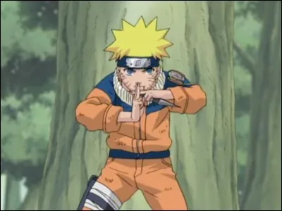 De quel anime vient-il ?