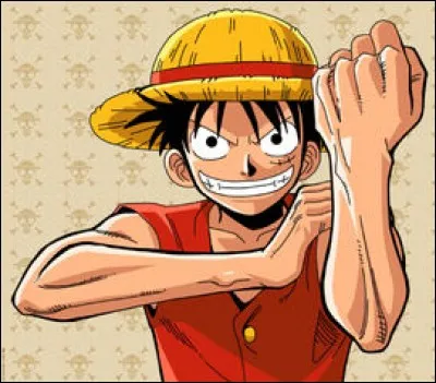 Quel est le nom du fruit du démon que mange Luffy ?