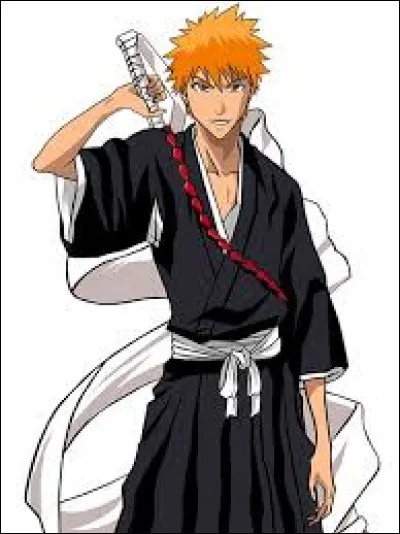 De quel anime est tiré ce personnage ?