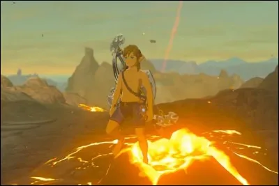 Comment obtient-on la paravoile sur Zelda ?