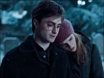 À la fin de ''Harry Potter 7'', Harry et Hermione se marient.