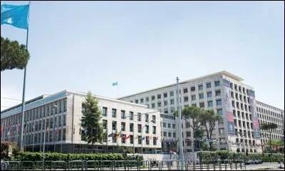 Organisation des Nations unies spécialisée pour l'alimentation et l'agriculture, créée en 1945 et dont le siège est à Rome :