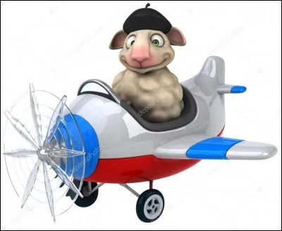 Quel est le titre exact du roman d'Antoine de Saint-Exupéry ?